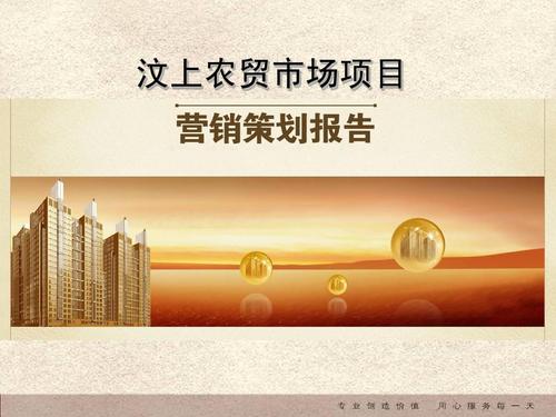汶上农贸市场全程整合营销策划报告ppt